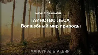 ОККУЛЬТИЗМ И МАГИЯ | ОБУЧЕНИЕ МАГИИ - Таинство леса. Волшебный мир природы.