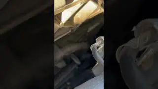 2019 Jeep Renegade Radiator Fan Motor Vibration