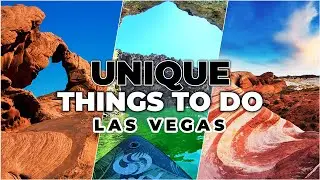 Unique Things To Do Off the Strip In Las Vegas | Things To Do In Vegas