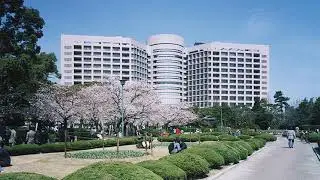 Top 10 Best Universities In Japan (2020)