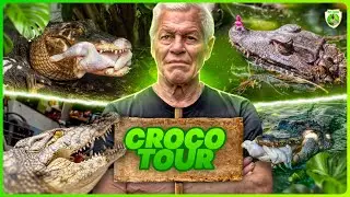 CROCODILE TOUR 2024 - ON VOUS PRÉSENTE TOUS NOS CROCODILES ET ON LEUR DONNE À MANGER ! 🐊