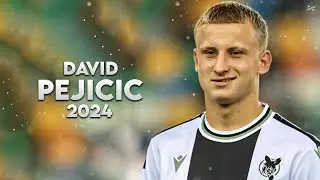 David Pejičić 2024 - Amazing Skills, Assists & Goals - Udinese Star | HD