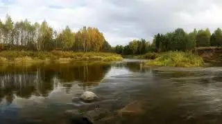 Ф. Шопен 12 Этюдов соч. 10 В. Ашкенази 1959 год