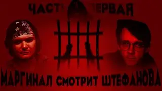 Маргинал комментирует поездку Штефанова в обстреливаемые города. Часть 1