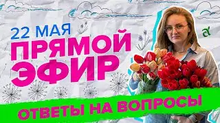 ПРЯМАЯ ТРАНСЛЯЦИЯ. ОТВЕТЫ НА ВОПРОСЫ | 22.05.24