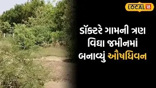 Banaskantha news | લોકોને દવાખાને ન જવું પડે તે માટે આ ગામમાં ડોક્ટરે બનાવ્યું ઔષધિવન | 