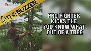 Pro fighter, Tiffany “TimeBomb” Van Soest,  kicks the crap out of a tree | @TheBuzzer | FOX SPORTS