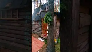 🌲ЛЕСНАЯ БАНЯ🌲