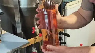 Розлив лагера из ЦКТ-200 ,после осветления агаром !!