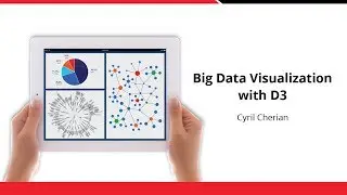 Big Data Visualization with D3