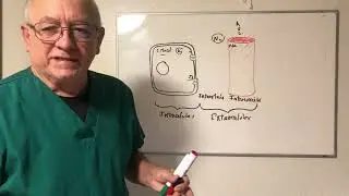 Distribucion  del agua en el cuerpo humano. Tipos de deshidratación. Sobre hidratación
