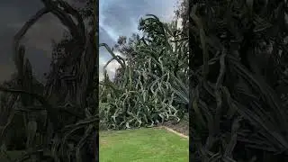 Ну вот я и в San Diego
