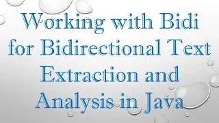 Working with Bidi for Bidirectional Text Extraction and Analysis in Java