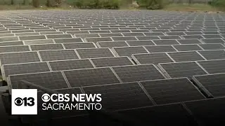 California reaches major green energy milestone