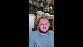 Медовик Травник в прямом эфире!