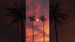 Flying alone to the moon 🌕🌅TRACK ID🎶 Anthony P - Love Now (ft. ROBINS) #chillyourmind #deephouse