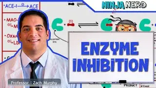 Biochemistry | Enzyme Inhibition