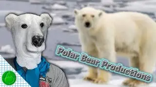 Marine Biology Class Final Project (2022)