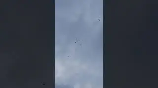 5 февраля 2023 г.