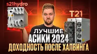 Лучшие асики в 2024 году. Доходность майнинга после халвинга.