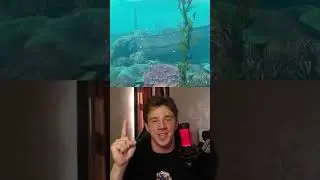 Лучшая игра про выживание после авиакатастрофы... 