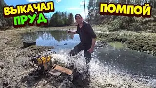 Выкачал пруд помпой! Ловлю рыбу руками. Бобба вытянул бобра с норы.