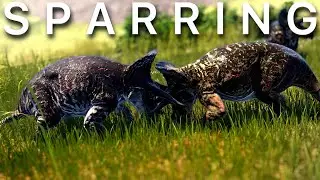 Testing The NEW Triceratops SPARRING in The Isle Evrima