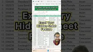 Excel Very Hidden Sheet Feature‼️Amazing Trick of Excel #exceltricks #excel #exceltutorial #shorts