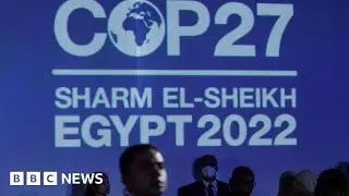 COP27 begins as world leaders arrive at climate summit in Egypt - BBC News