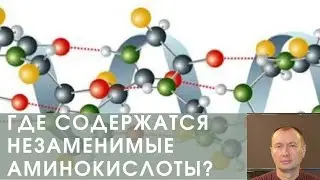 ГДЕ СОДЕРЖАТСЯ НЕЗАМЕНИМЫЕ АМИНОКИСЛОТЫ?