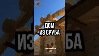 Сибирский кедр: идеальный материал для строительства дома 🪵