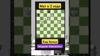 Telegram: Albinachess #шахматы #chorts #chess #музыка