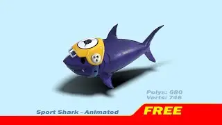 Sport Shark- Animated - Presentation video