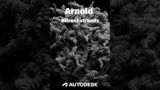 #arnoldrenderer #gpu