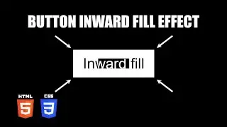 Button Inward Fill Hover Effect | HTML & CSS Tutorial