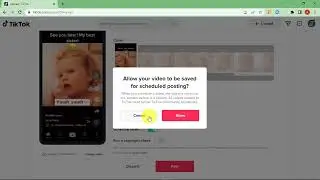 How to Schedule TikTok Posts On  Mobile and Desktop