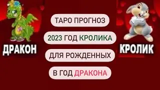 Годовой зодиакальный таро прогноз! Что ждет в Год Кролика, рожденных в Год Дракона! Основные событи