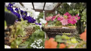 Grow Green Garden