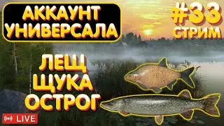 Лещ Щука - Острог 🔥 Аккаунт универсала #33 стрим 🎁 Бокс с премом на TROVO 🎁 Русская Рыбалка 4 #1111