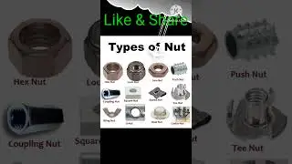 Types of Nut, Different types of nuts, Nut, Nuts, Nut types, नट के प्रकार, विभिन्न प्रकार के नट