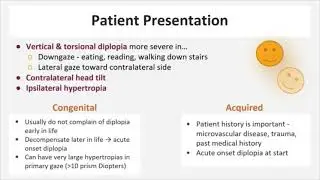 Cranial Nerve IV (Trochlear Nerve) Palsy