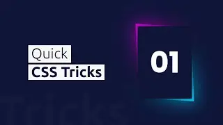 Quick CSS Tricks | Creative Website Card Effects using Html CSS