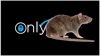 How To Use OnlyRAT (MkI) | Default Install