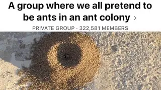 This Facebook Group Pretends To Be Ants