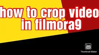 Filmora 9: HOW TO CROP, PAN & ZOOM + TIPS