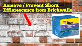 Prevent Shora / Efflorescence from Brick Walls with Dr. Fixit Fastflex