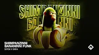 SHIMPANZINNI BANANINNI FUNK - SXYGX, SHX4