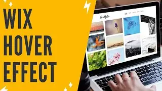 Wix Image Change On Hover: Wix Image Hover Effect Tutorial (Easy)