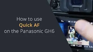 Using Quick AF on Panasonic Lumix Cameras | Continuous Focusing on the Panasonic Lumix GH6