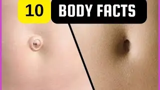 10 BODY FACTS | 10 FACTS HUMAN BODY | 10 AMAZING BODY FACTS
